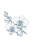 Lanas Orquídea Mayorista