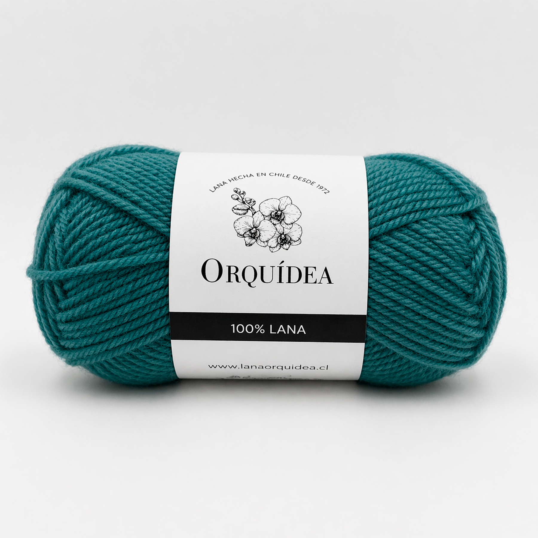 Hilado Lana 100% x 10 Ovillos de 100g